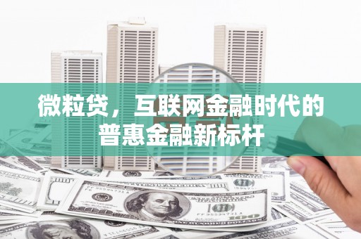 新洲微粒贷，互联网金融时代的普惠金融新标杆
