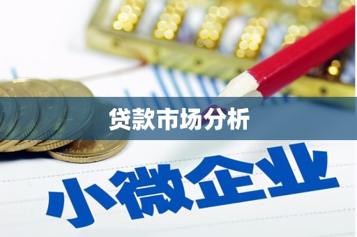 新洲贷款市场分析
