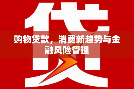 新洲购物贷款，消费新趋势与金融风险管理