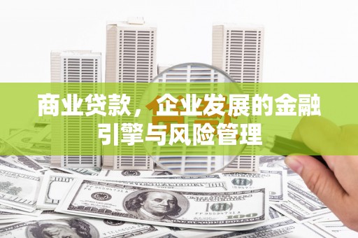 新洲商业贷款，企业发展的金融引擎与风险管理