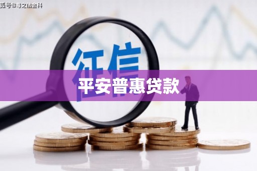 新洲平安普惠贷款