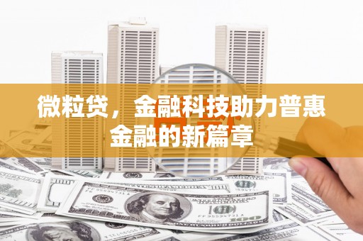 新洲微粒贷，金融科技助力普惠金融的新篇章
