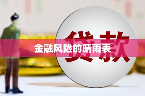 新洲金融风险的晴雨表