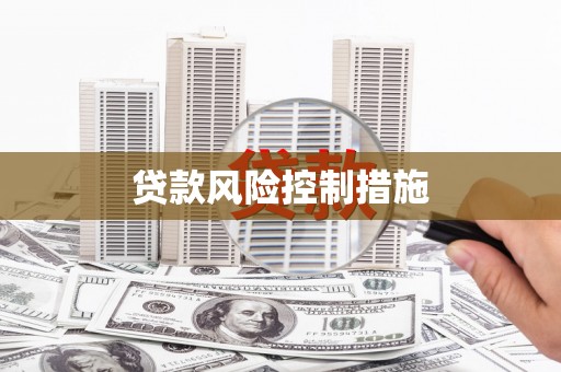新洲贷款风险控制措施