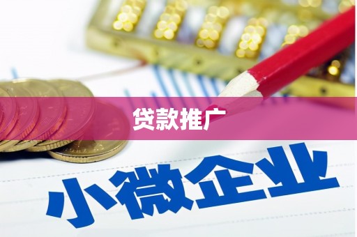 新洲贷款推广
