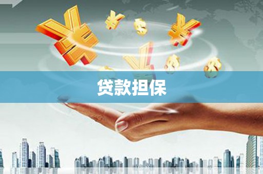 新洲贷款担保