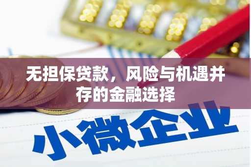 新洲无担保贷款，风险与机遇并存的金融选择