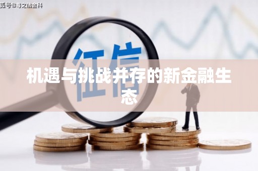 新洲机遇与挑战并存的新金融生态