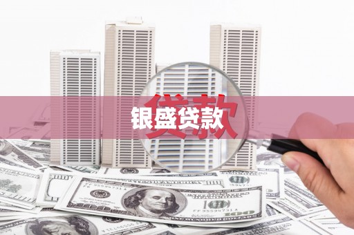新洲银盛贷款