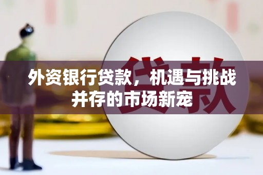 新洲外资银行贷款，机遇与挑战并存的市场新宠