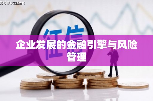 新洲企业发展的金融引擎与风险管理