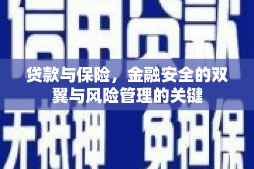 新洲贷款与保险，金融安全的双翼与风险管理的关键