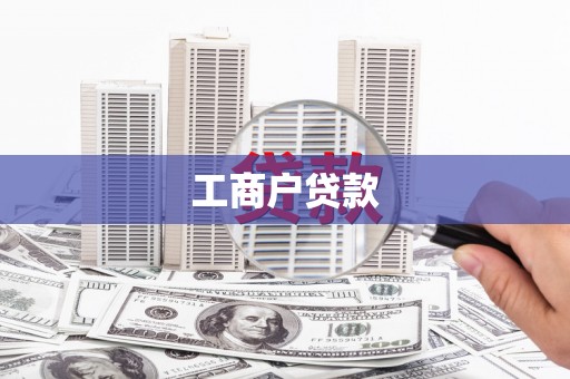 新洲工商户贷款