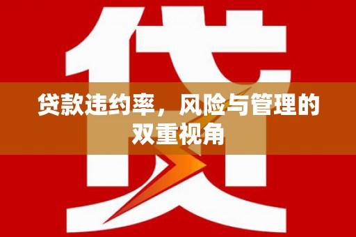 新洲贷款违约率，风险与管理的双重视角