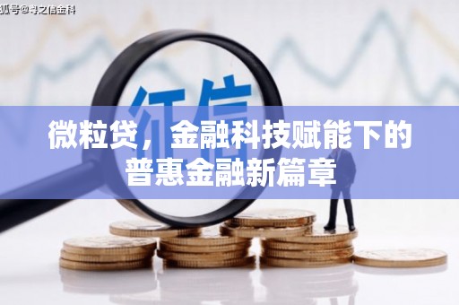 新洲微粒贷，金融科技赋能下的普惠金融新篇章