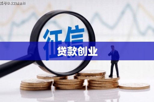 新洲贷款创业