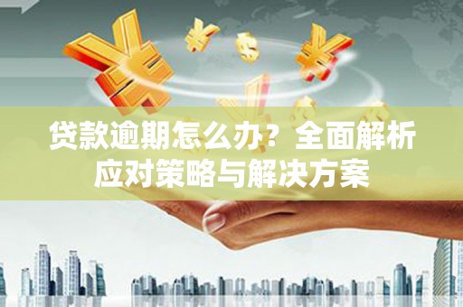 新洲贷款逾期怎么办？全面解析应对策略与解决方案