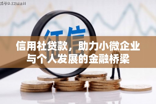 新洲信用社贷款，助力小微企业与个人发展的金融桥梁