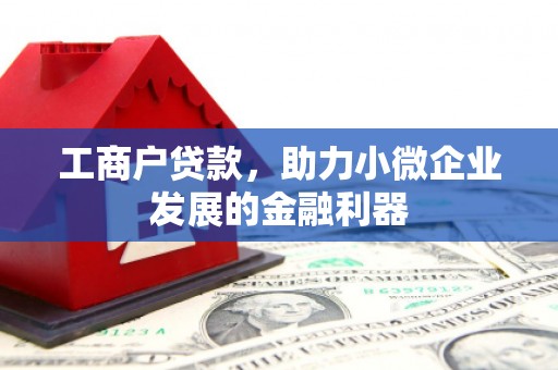 新洲工商户贷款，助力小微企业发展的金融利器