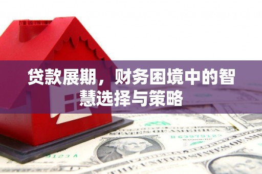 新洲贷款展期，财务困境中的智慧选择与策略