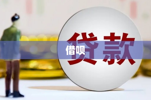 新洲借呗