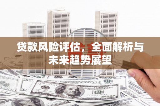 新洲贷款风险评估，全面解析与未来趋势展望