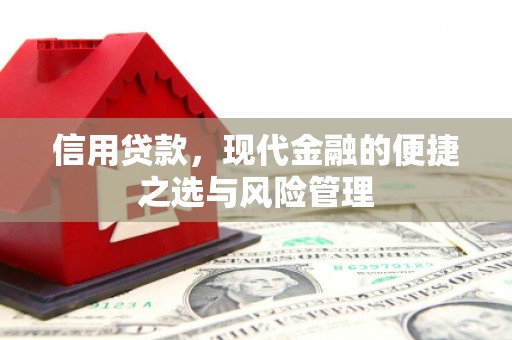 新洲信用贷款，现代金融的便捷之选与风险管理