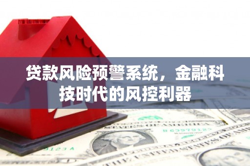 新洲贷款风险预警系统，金融科技时代的风控利器