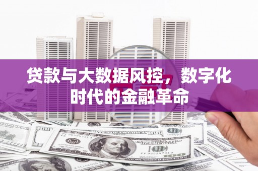 新洲贷款与大数据风控，数字化时代的金融革命