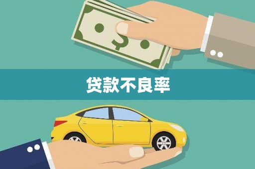 新洲贷款不良率