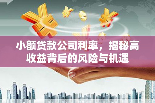 新洲小额贷款公司利率，揭秘高收益背后的风险与机遇