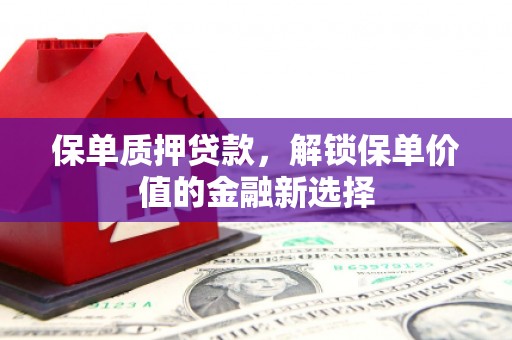 新洲保单质押贷款，解锁保单价值的金融新选择