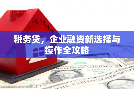 新洲税务贷，企业融资新选择与操作全攻略