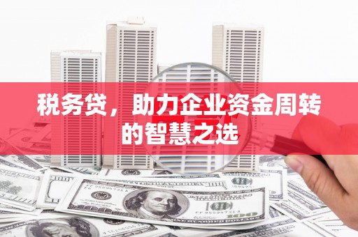 新洲税务贷，助力企业资金周转的智慧之选