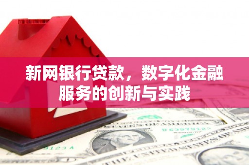 新洲新网银行贷款，数字化金融服务的创新与实践