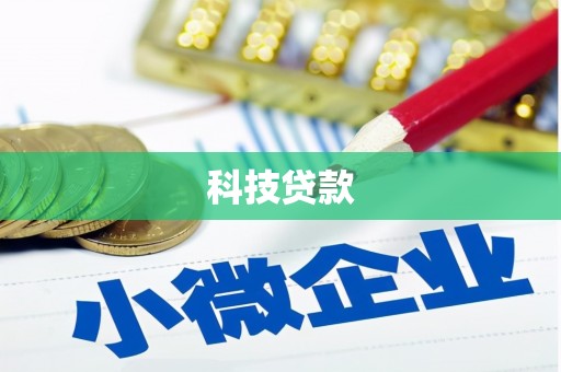 新洲科技贷款