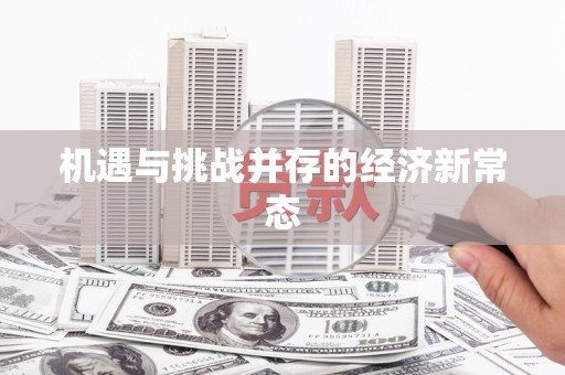 新洲机遇与挑战并存的经济新常态