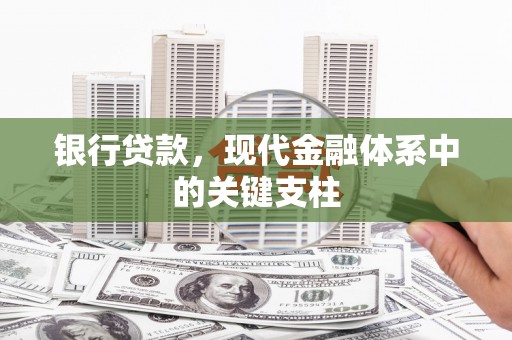 新洲银行贷款，现代金融体系中的关键支柱