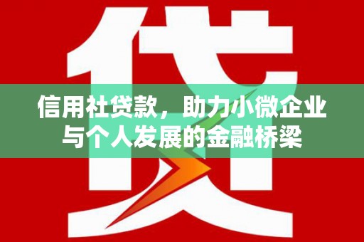 新洲信用社贷款，助力小微企业与个人发展的金融桥梁