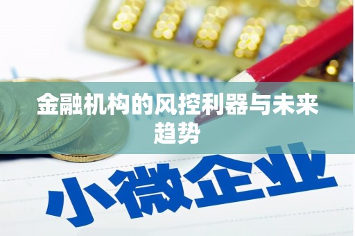 新洲金融机构的风控利器与未来趋势