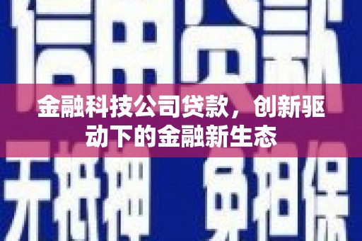新洲金融科技公司贷款，创新驱动下的金融新生态