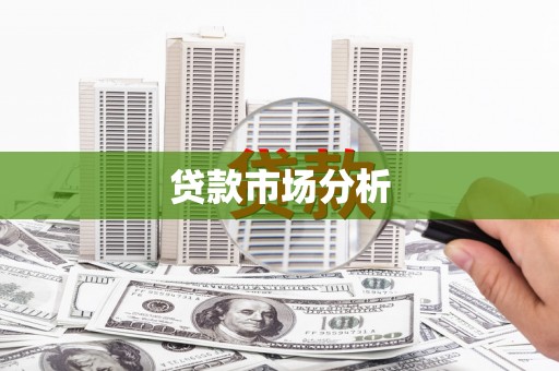 新洲贷款市场分析