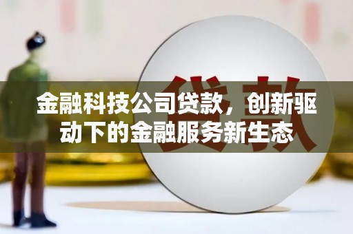 新洲金融科技公司贷款，创新驱动下的金融服务新生态