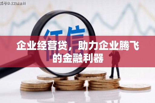 新洲企业经营贷，助力企业腾飞的金融利器