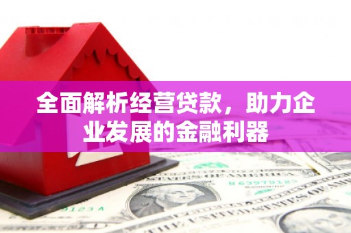 新洲全面解析经营贷款，助力企业发展的金融利器
