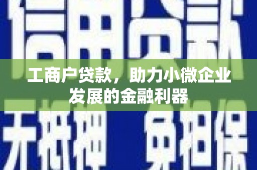 新洲工商户贷款，助力小微企业发展的金融利器