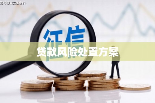 新洲贷款风险处置方案