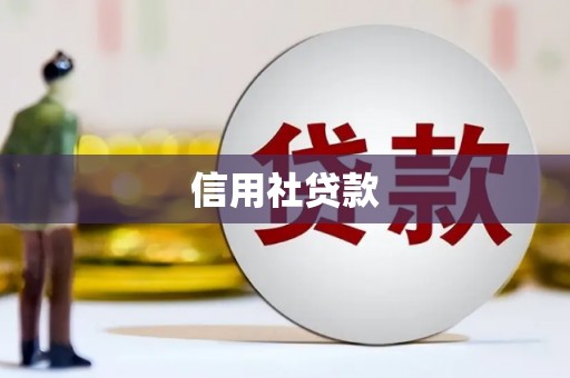 新洲信用社贷款