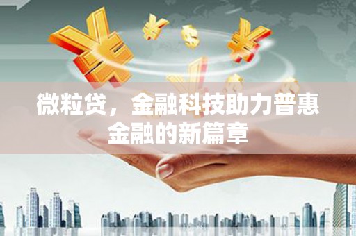 新洲微粒贷，金融科技助力普惠金融的新篇章