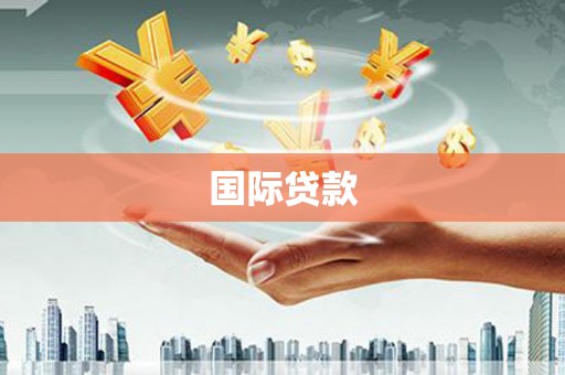 新洲国际贷款